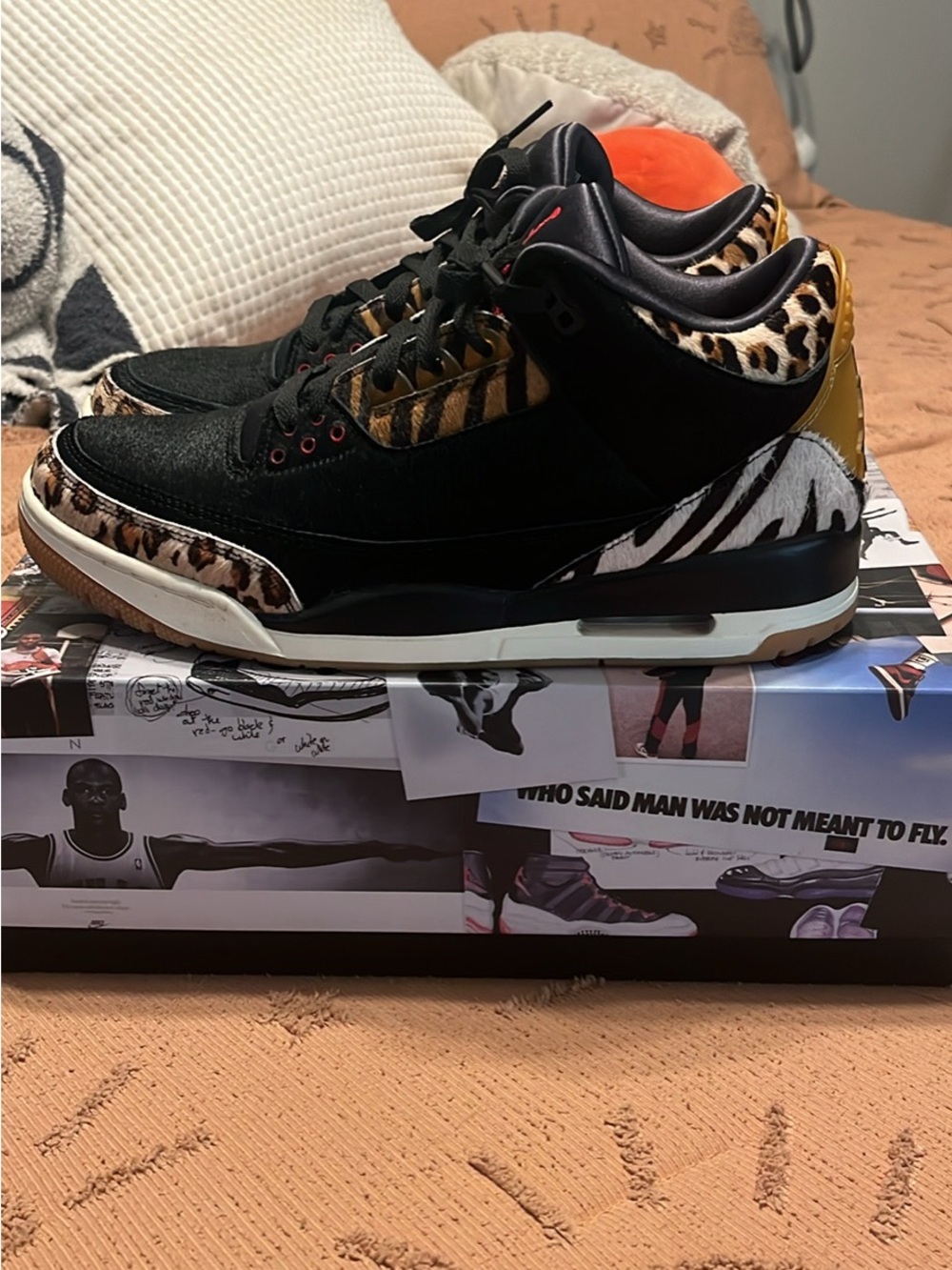 Jordan 3 “Animal Instinct”